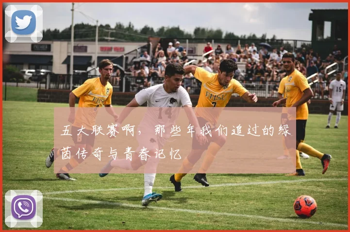 五大联赛啊，那些年我们追过的绿茵传奇与青春记忆