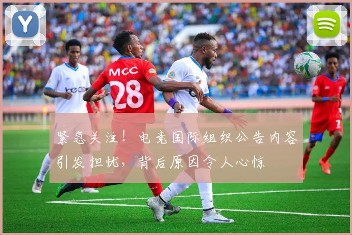 紧急关注!电竞国际组织公告内容引发担忧,背后原因令人心惊