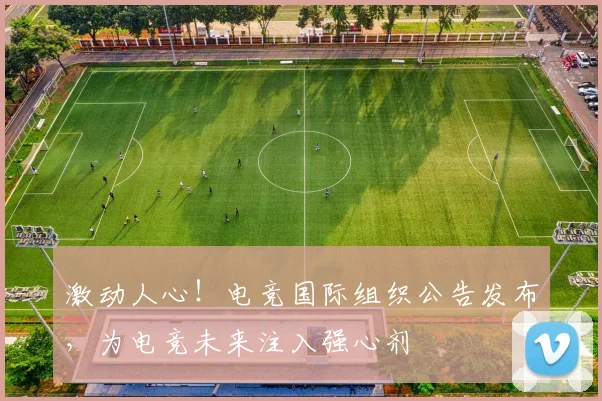 激动人心！电竞国际组织公告发布，为电竞未来注入强心剂